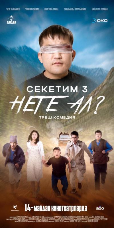 Обложка фильма Секетим 3: Неге ал?